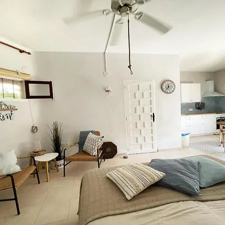 Estudio Andaluz Denia