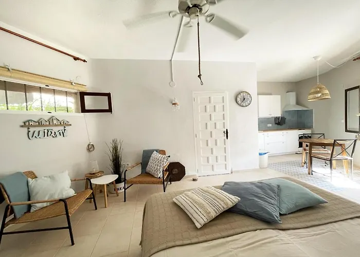 Estudio Andaluz Denia
